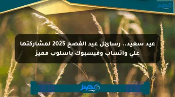 عيد سعيد.. رسائل عيد الفصح 2025 لمشاركتها على واتساب وفيسبوك بأسلوب مميز